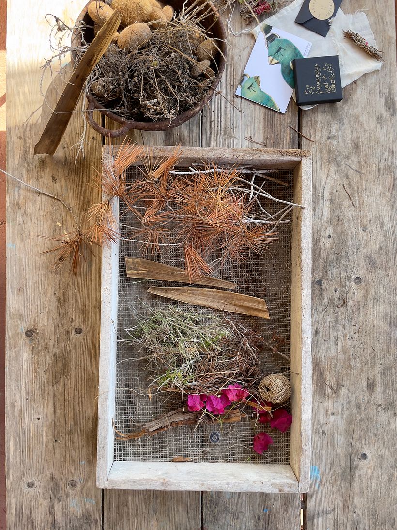 Recoleccion de plantas