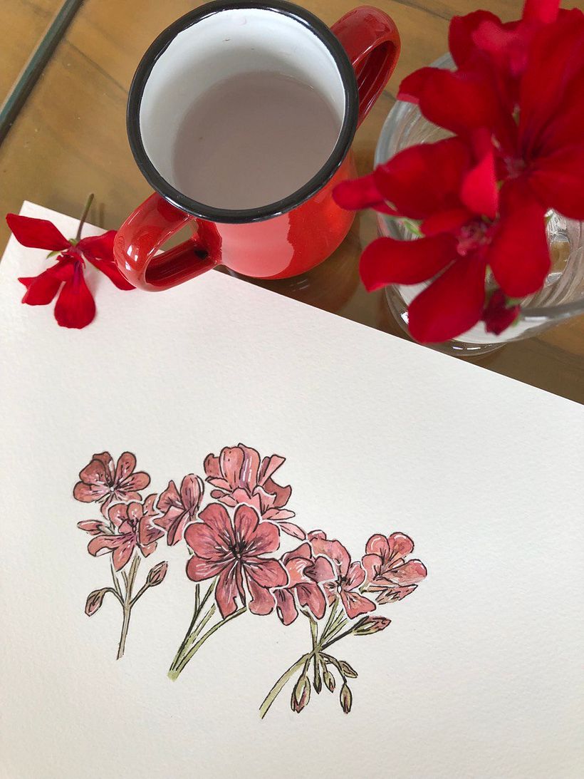 Mi proyecto del curso: Sketchbook botánico: una aproximación meditativa 2