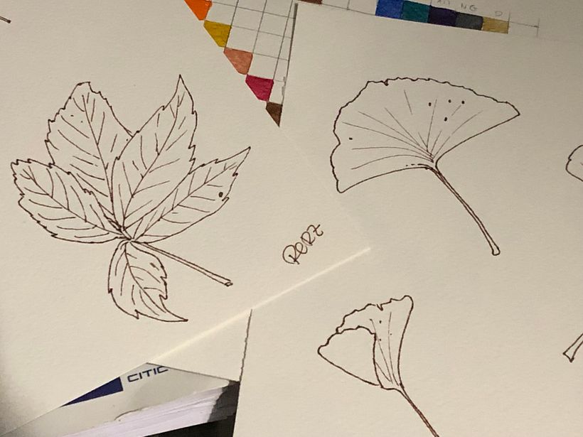 Mi proyecto del curso: Sketchbook botánico: una aproximación meditativa 2