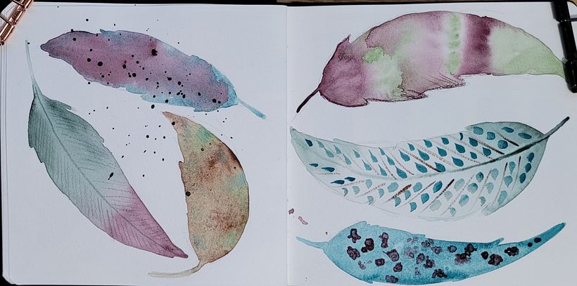 Feathers to try some techniques.