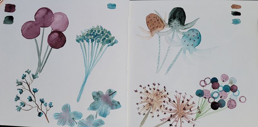 Shapes