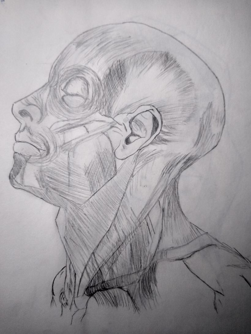 Mi proyecto del curso: Sketchbook de retrato: explora el rostro humano 5