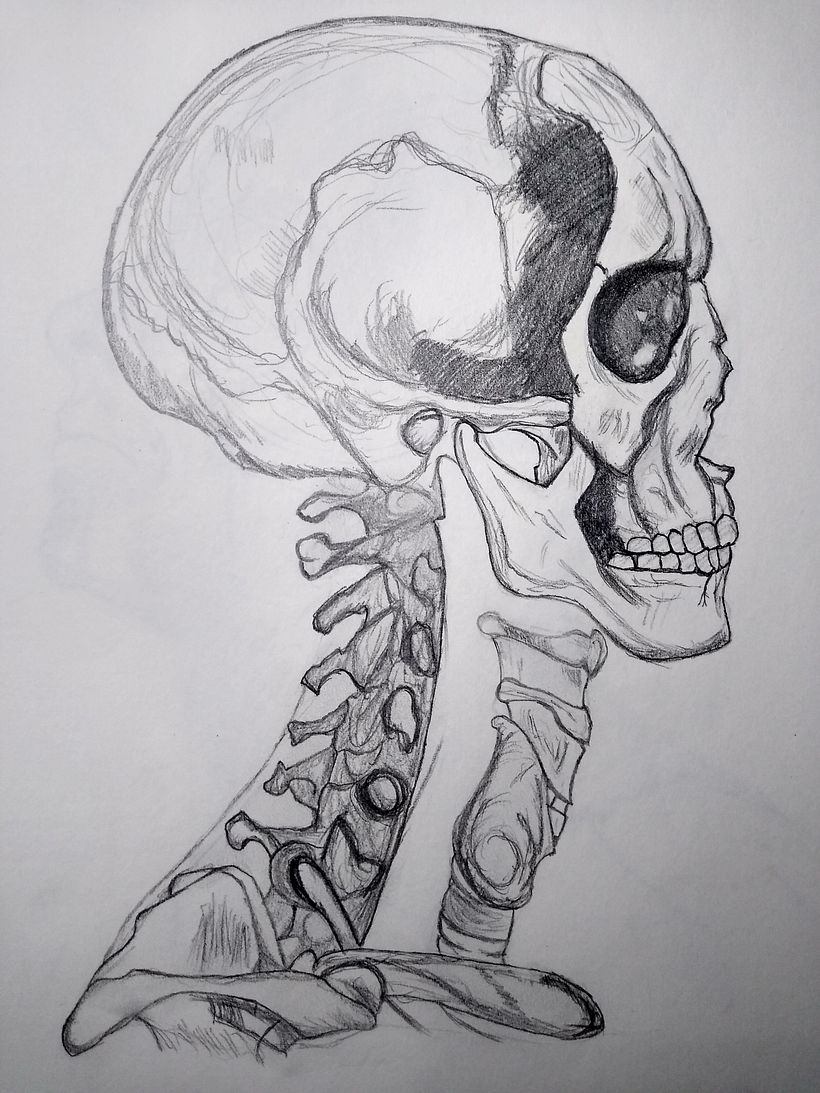 Mi proyecto del curso: Sketchbook de retrato: explora el rostro humano 6