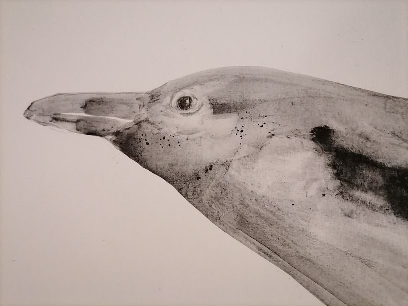 My project for course: Animal Illustration with Charcoal and Ink 15