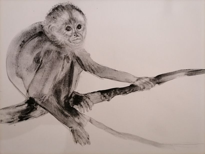 My project for course: Animal Illustration with Charcoal and Ink 13