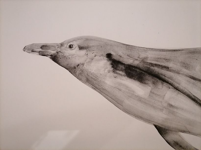 My project for course: Animal Illustration with Charcoal and Ink 14