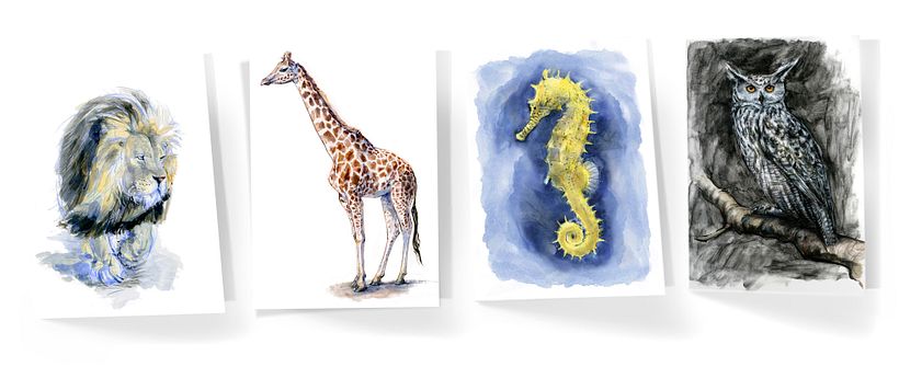 Thortful greetings cards - Ilustración tradicional
