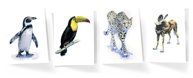 Greetings cards are an easy and affordable way to bring art into the everyday life of friends and families.