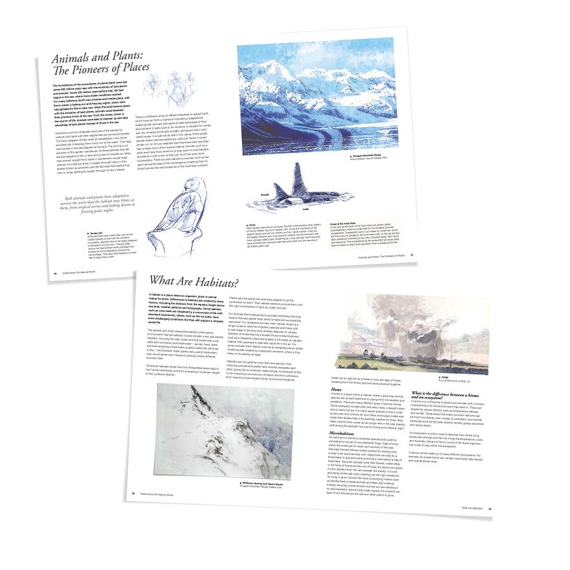Watercolour the Natural World 18