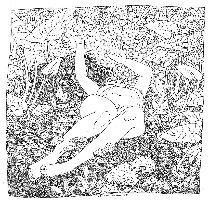 Siesta 2