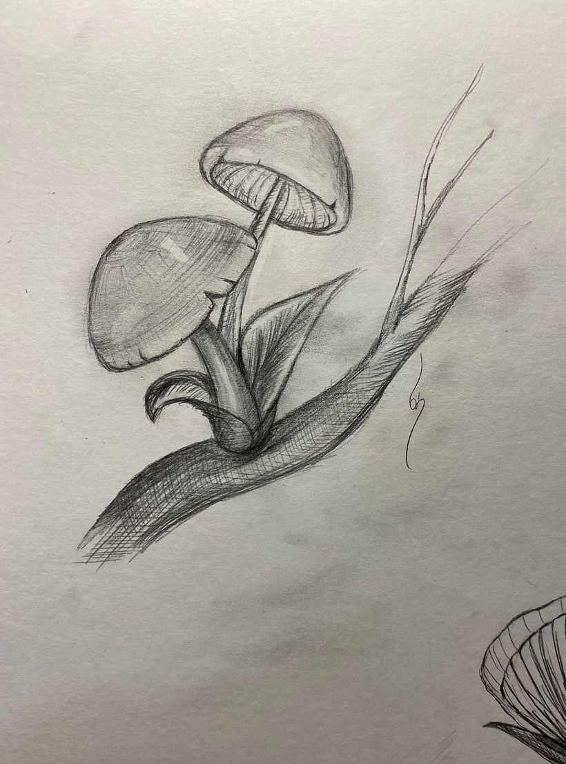 Sketch