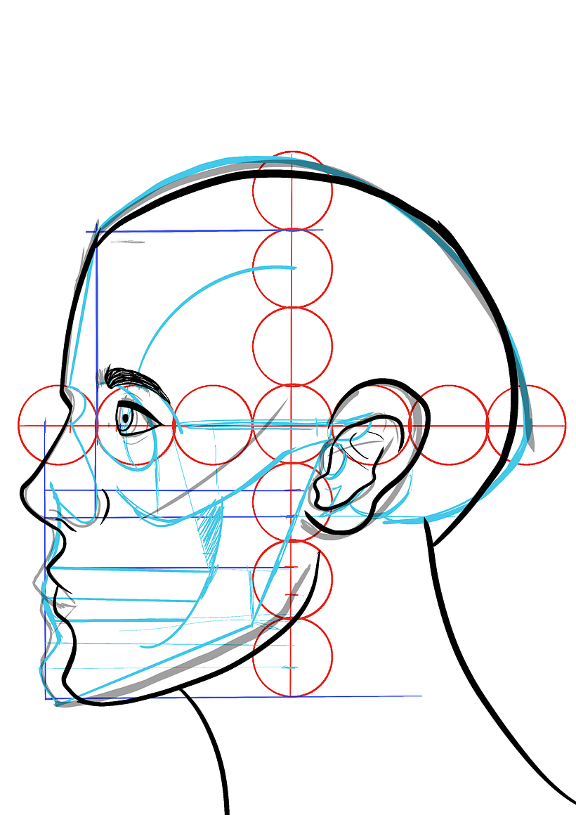 Mi proyecto del curso: Dibujo anatómico para principiantes 3