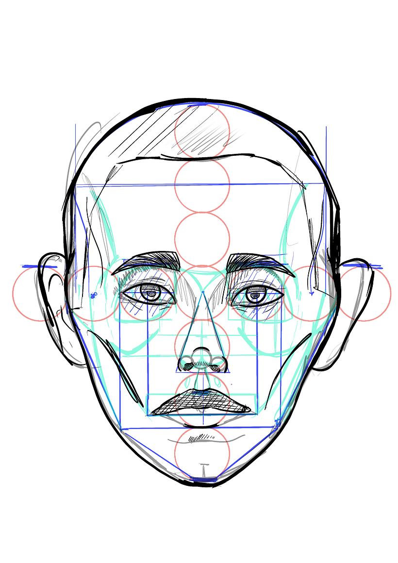 Mi proyecto del curso: Dibujo anatómico para principiantes 4