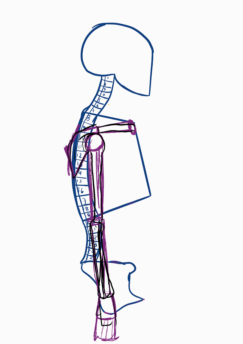 Mi proyecto del curso: Dibujo anatómico para principiantes 8
