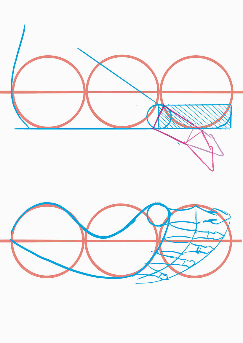 Mi proyecto del curso: Dibujo anatómico para principiantes 13