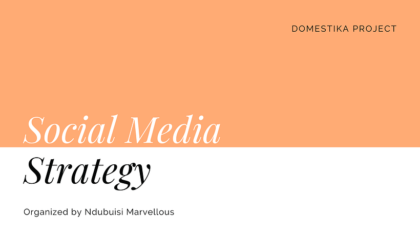 My project for course:  Social Media Strategy: Design, Manage, and Launch Campaigns 2