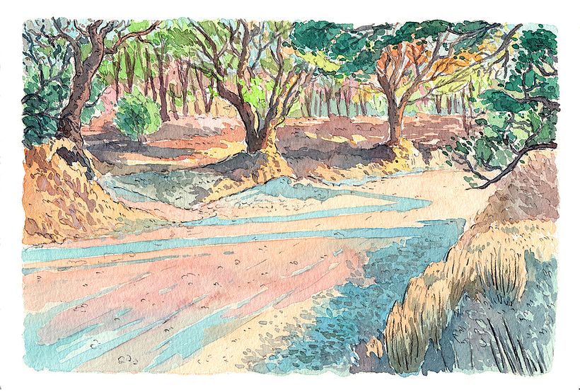 Escenarios naturales: Serie de acuarelas 4