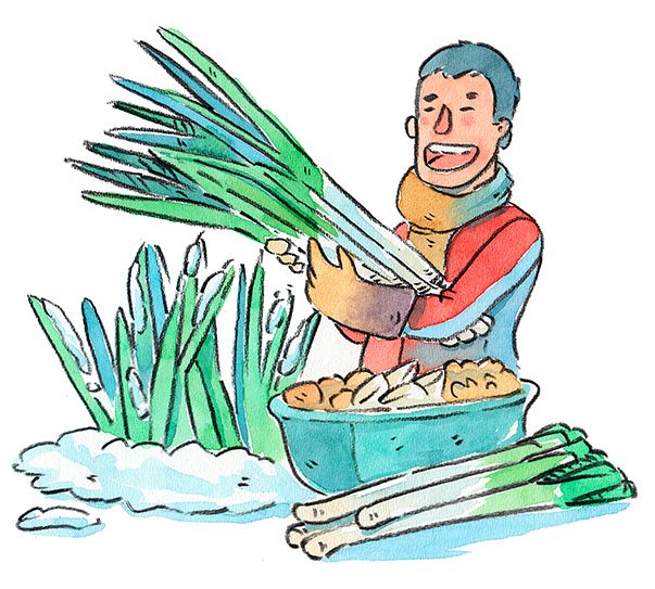 Festin del Haiku: Ilustración con acuarela 8