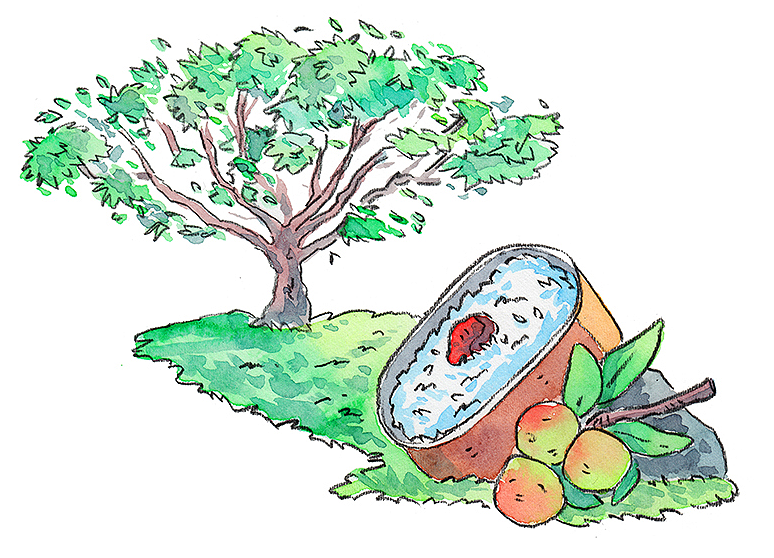 Festin del Haiku: Ilustración con acuarela 7