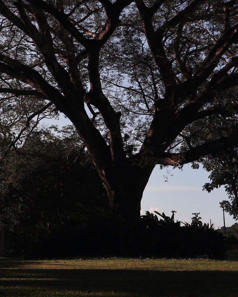 Photography  6