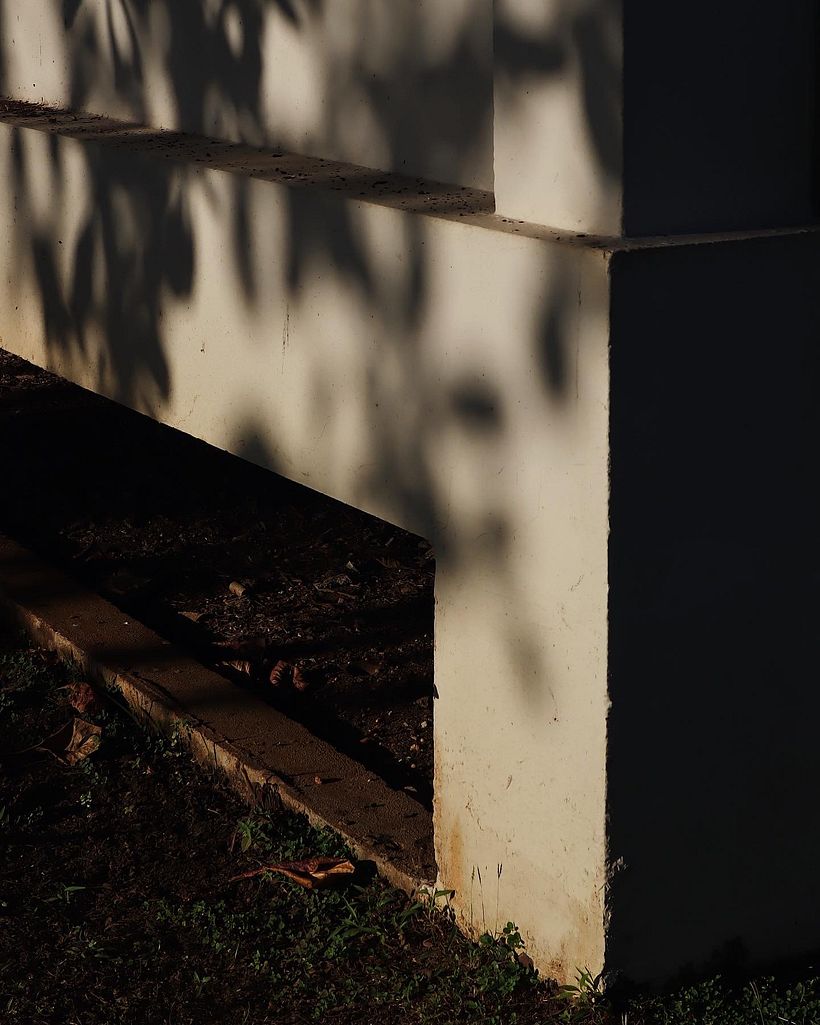 Photography  11