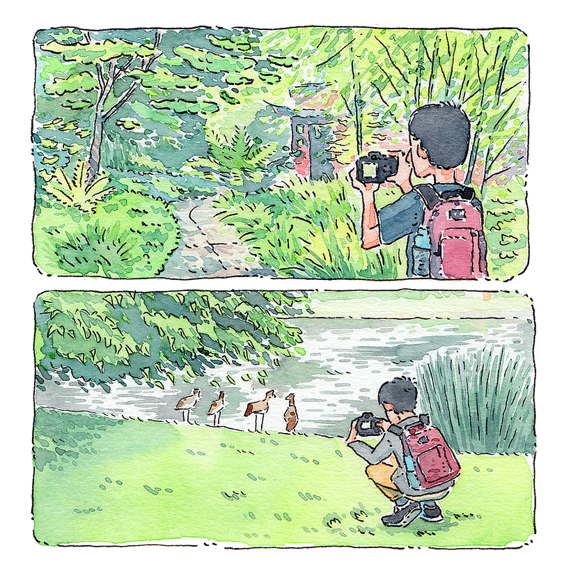 Mi proceso: Ilustración con acuarela 3