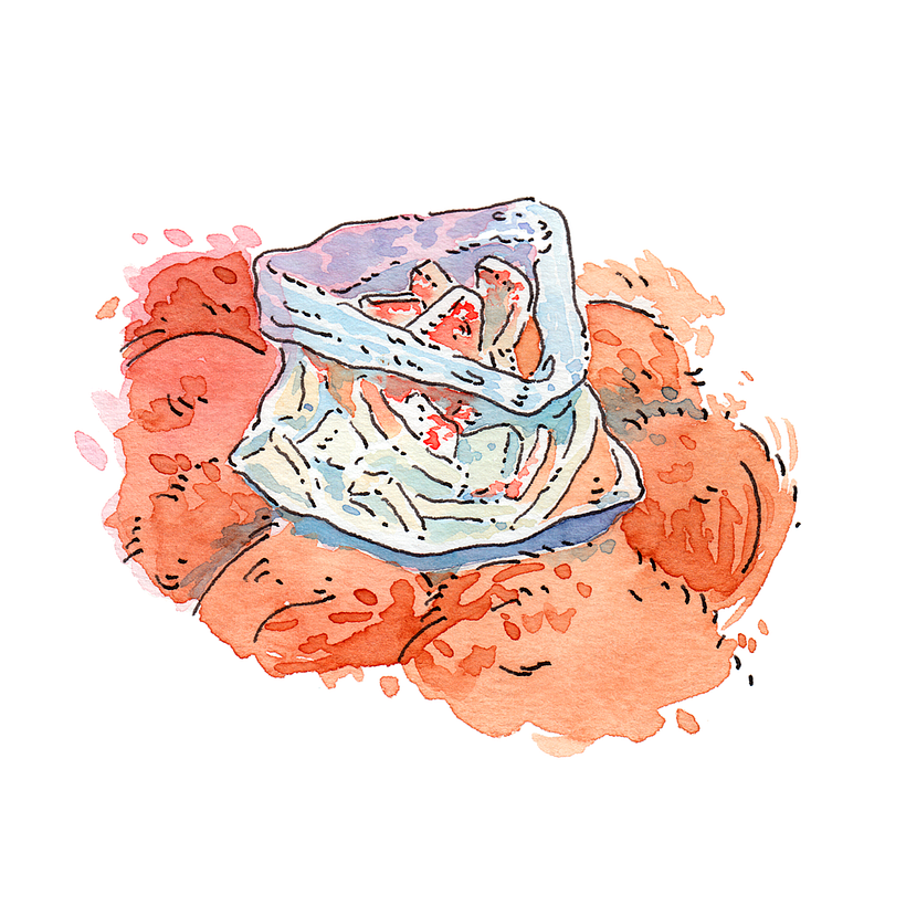 Street Vendors of Tlaxcala: Watercolor Series 4