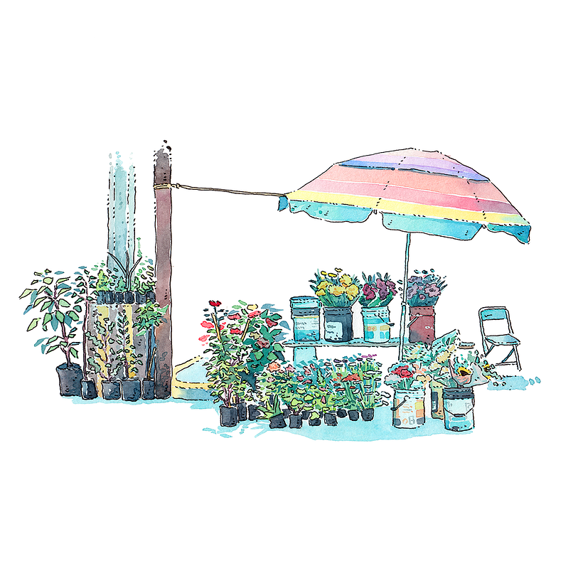 Street Vendors of Tlaxcala: Watercolor Series 12
