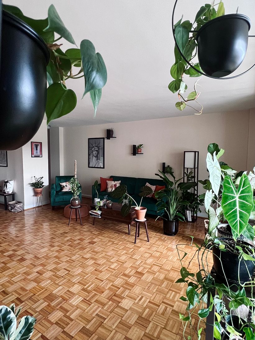 My project for course: Interior Design for Beginners: Decorating with Plants 4