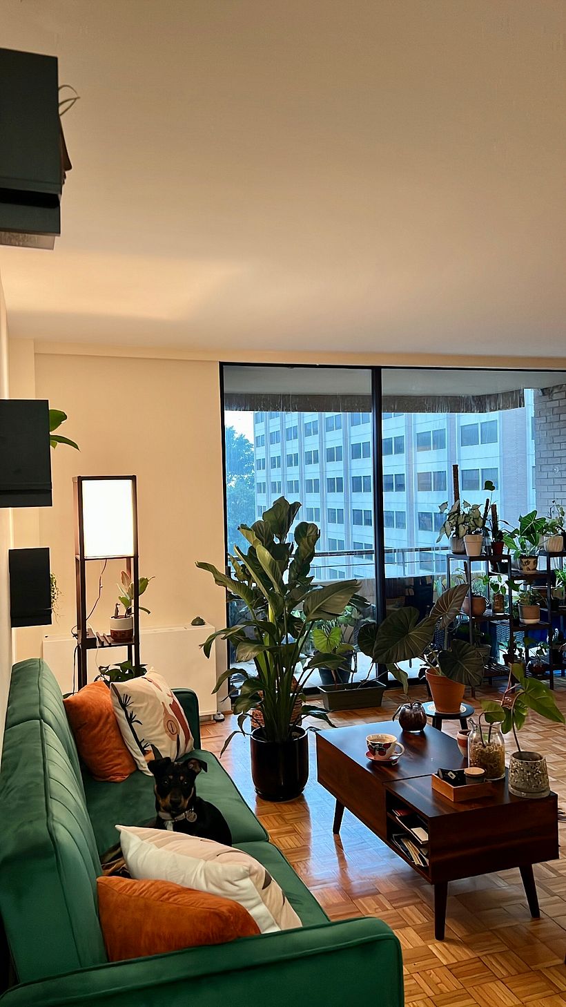 My project for course: Interior Design for Beginners: Decorating with Plants 5