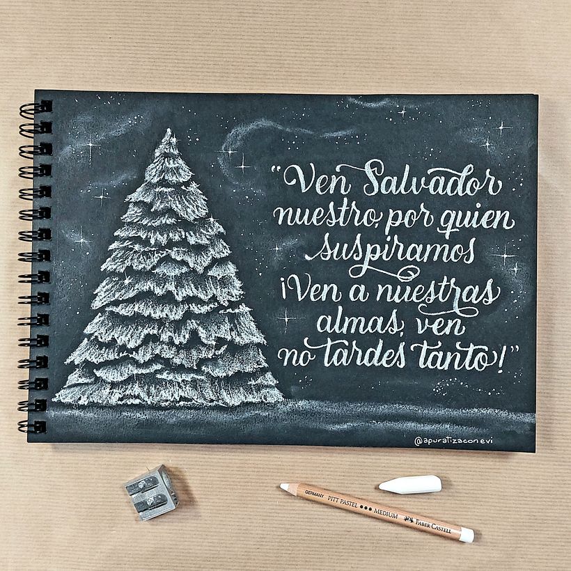 Mi Portafolio @apuratizaconevi 4