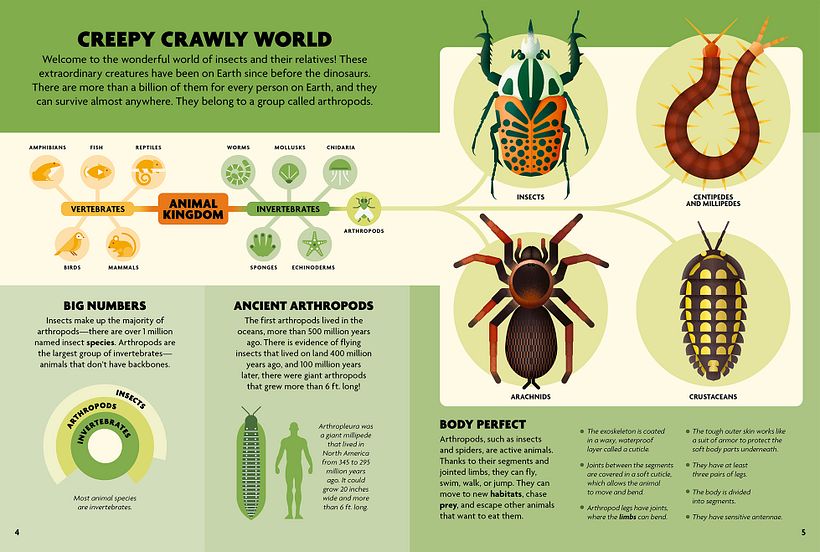 INSECTOS. Libro ilustrado. 4