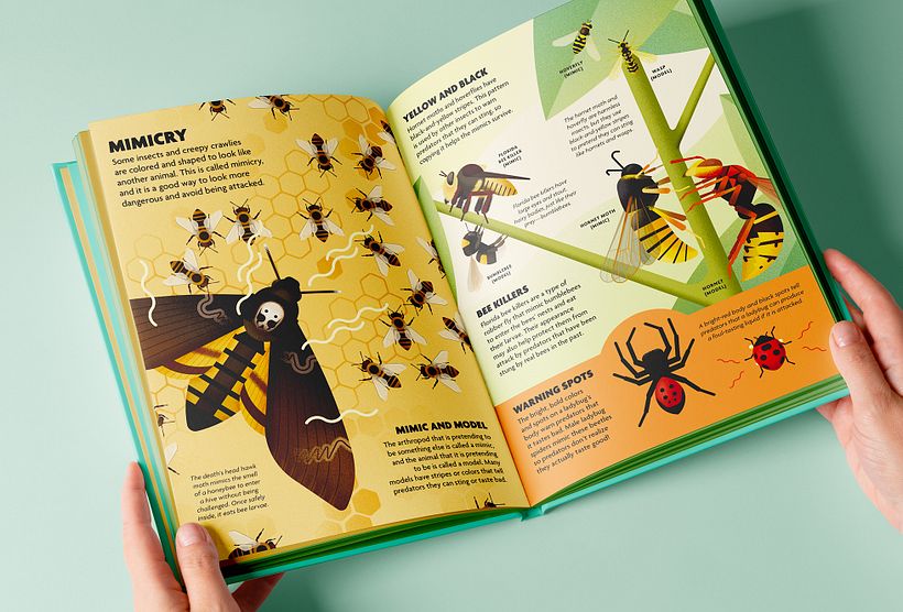 INSECTOS. Libro ilustrado. 5