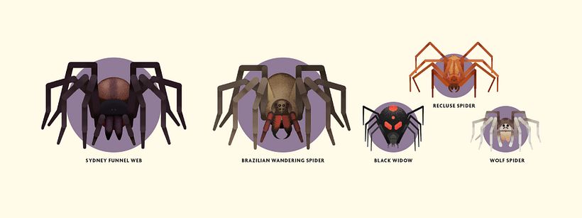 INSECTOS. Libro ilustrado. 8