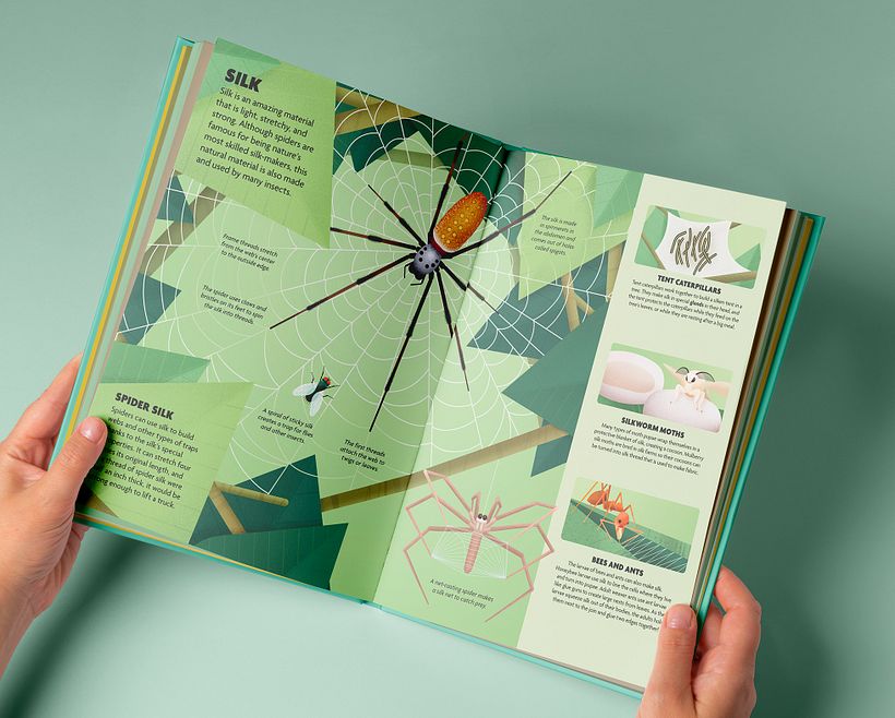 INSECTOS. Libro ilustrado. 11