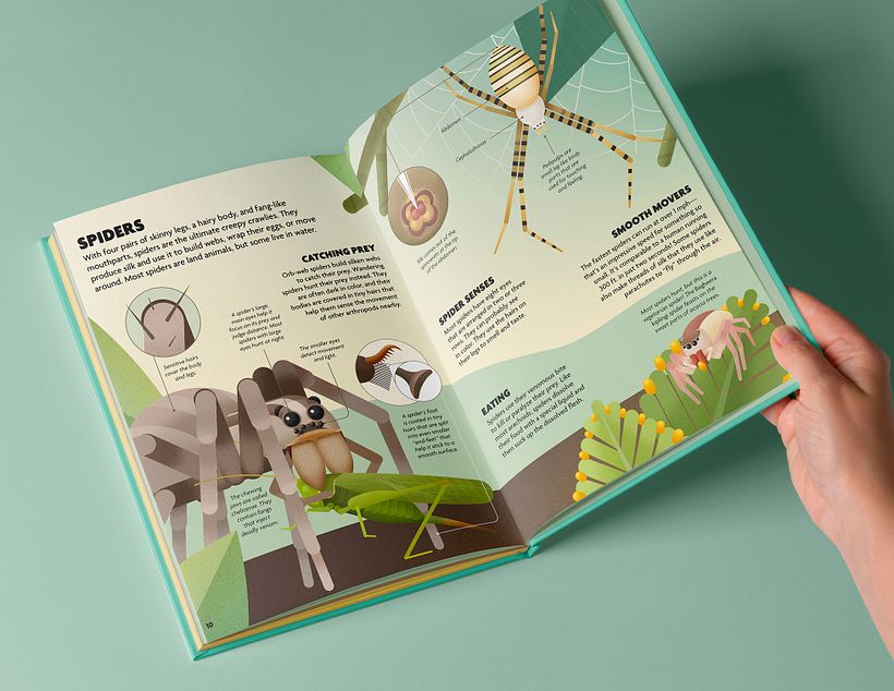 INSECTOS. Libro ilustrado. 14