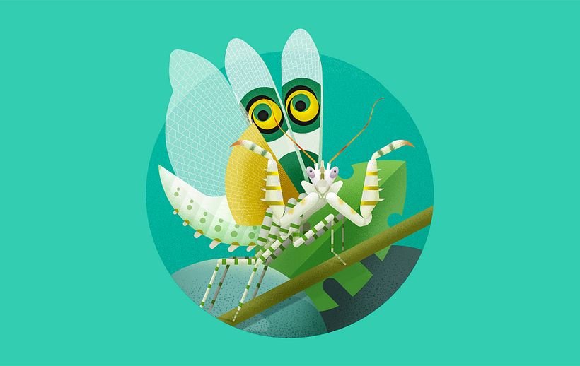 INSECTOS. Libro ilustrado. 16