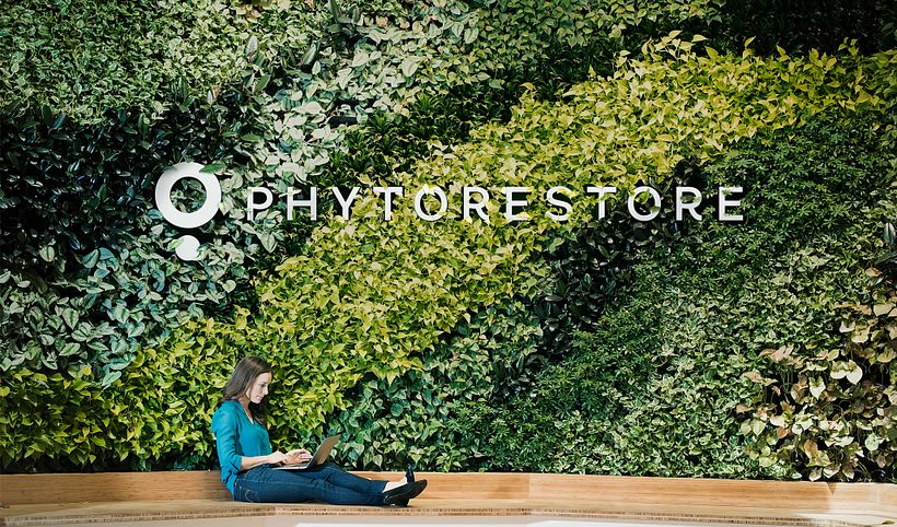 Identidade visual Phytorestore 2