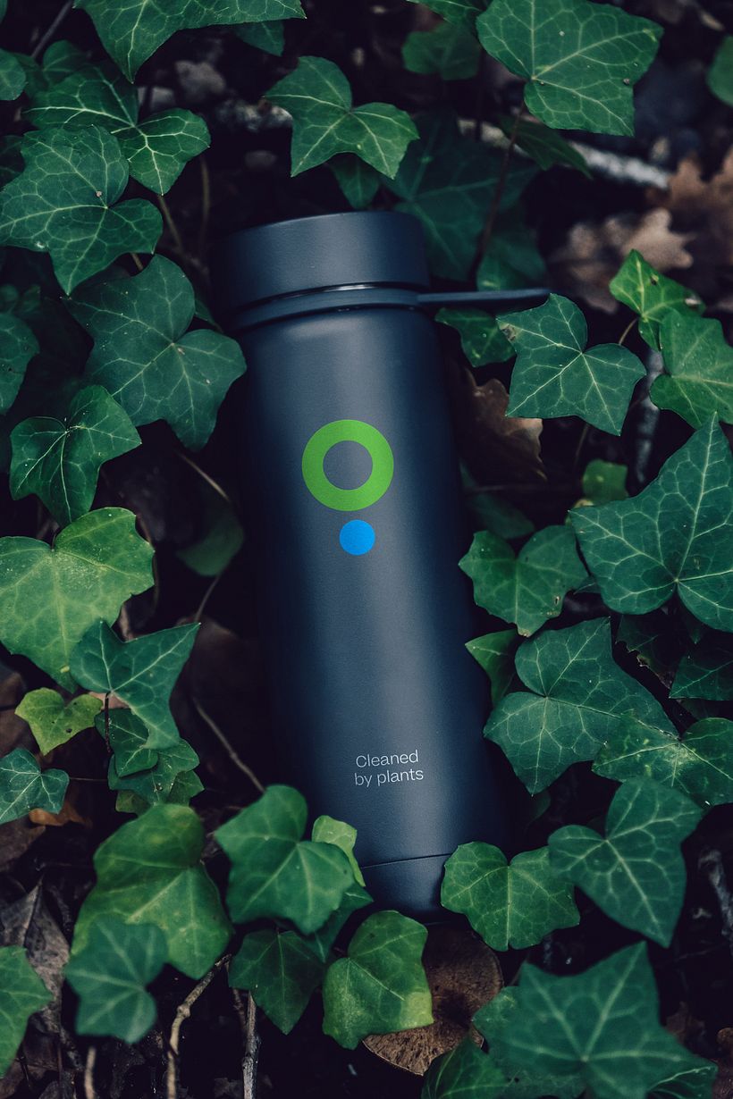 Identidade visual Phytorestore 8