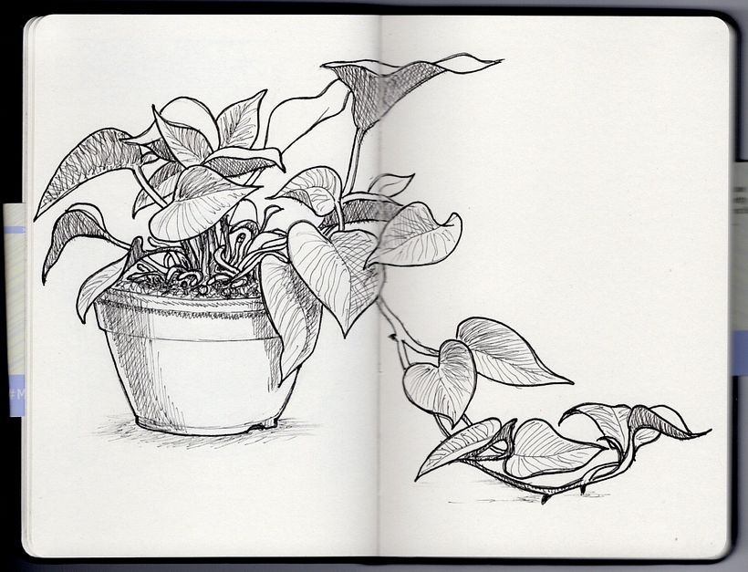 Un esercizio dell'Unità 3: Ispirazione e disegno