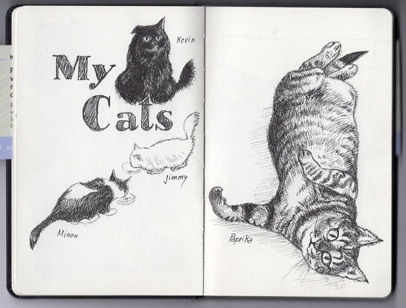 i miei gatti - Paprika la mia favorita