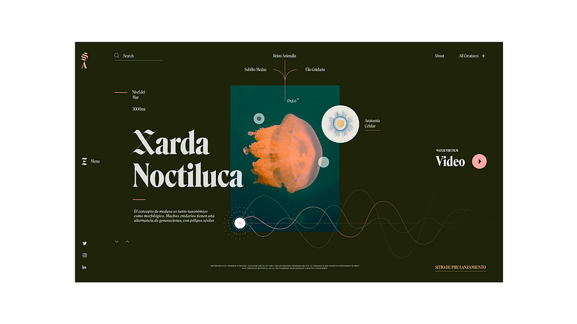 Websites Collection 20