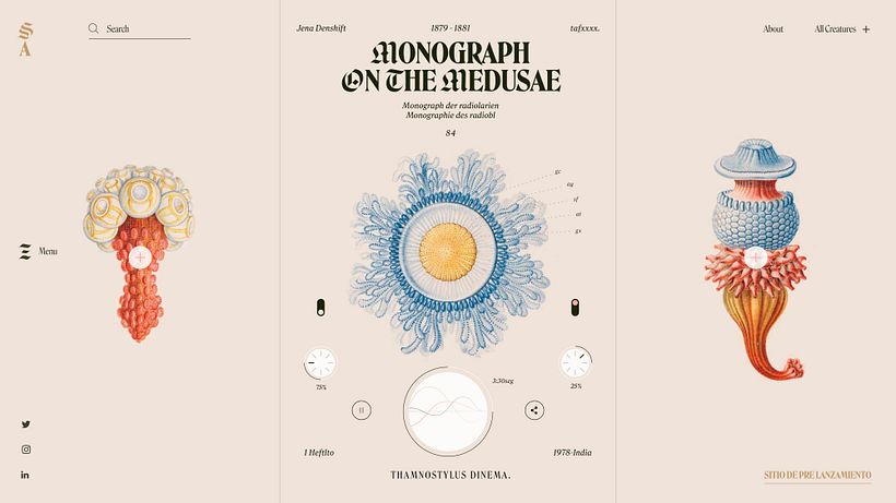Websites Collection 19