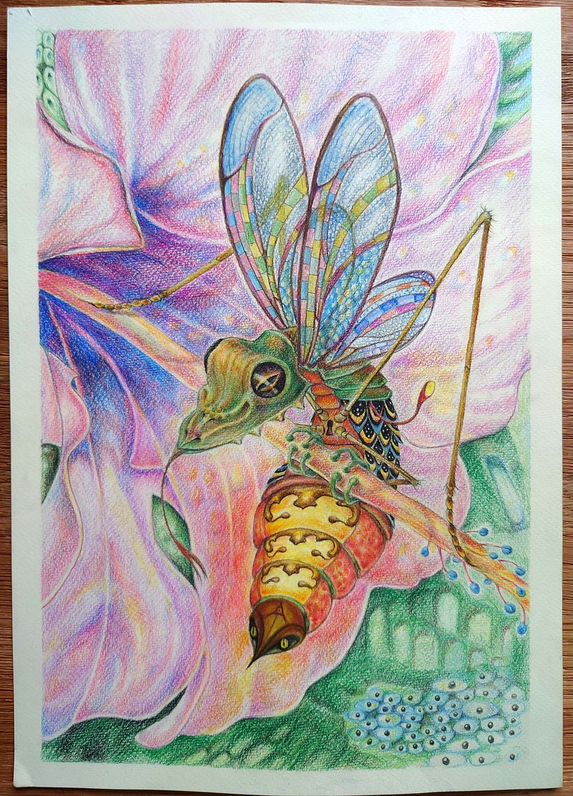 My project for course: Whimsical Sketchbook: Draw Imaginary Creatures from Nature 1