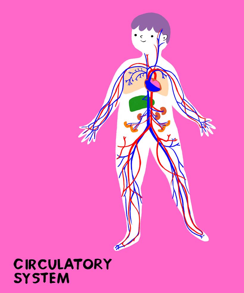 My project for course: Informative Illustration: Awakening Curiosity 1