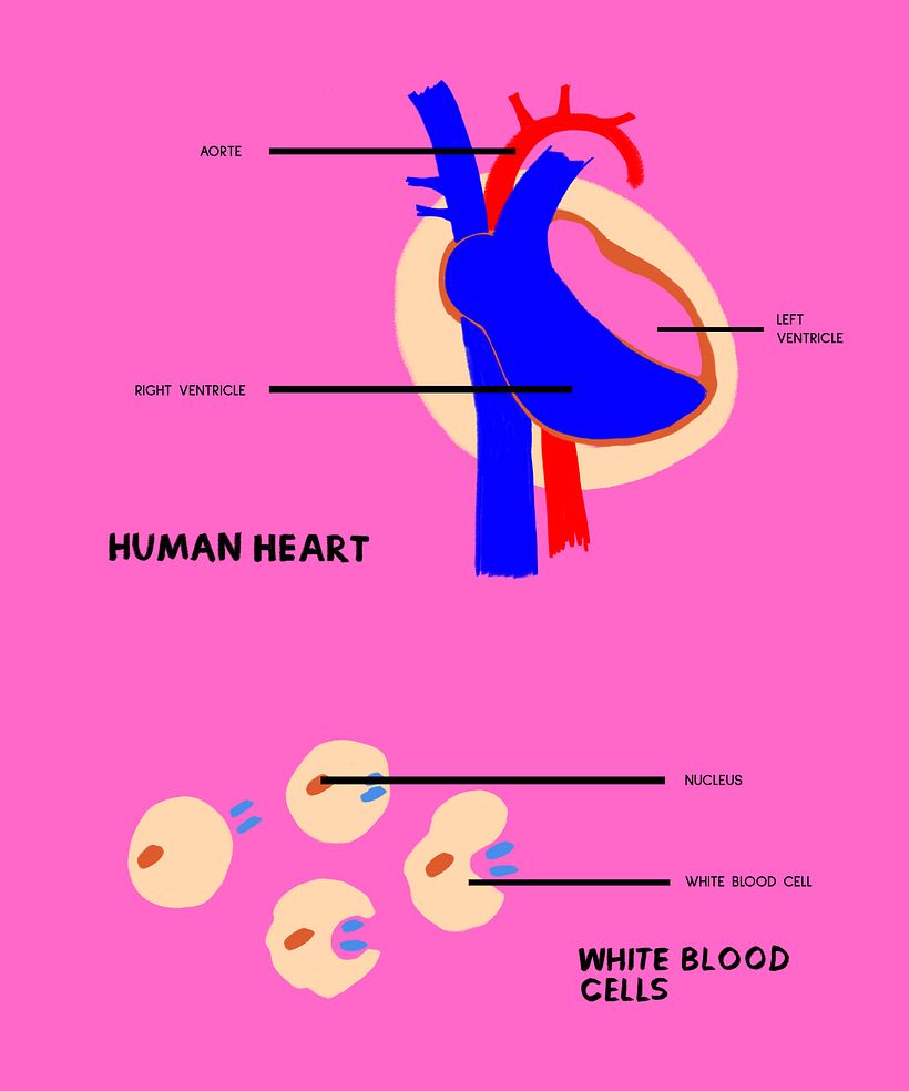 My project for course: Informative Illustration: Awakening Curiosity 2