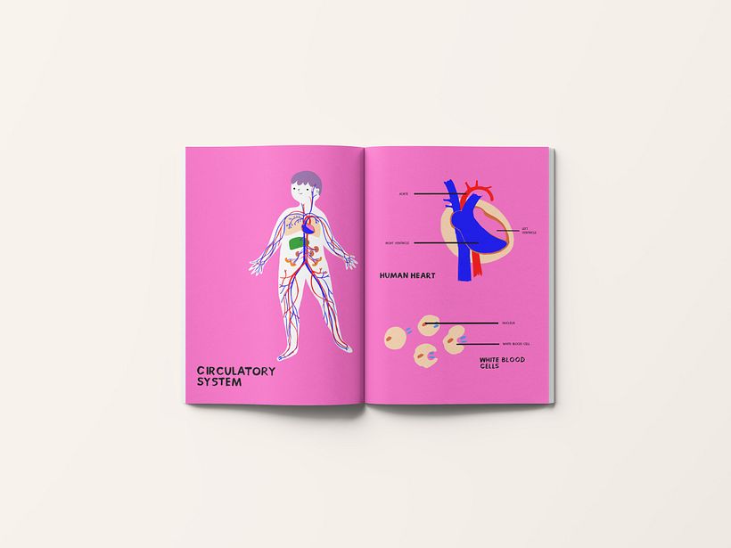 My project for course: Informative Illustration: Awakening Curiosity 3