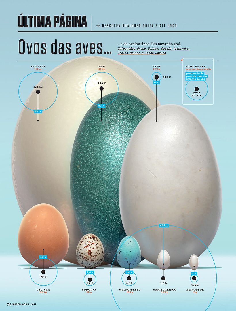 Relação entre ovos de aves e seus pesos quando adultos.