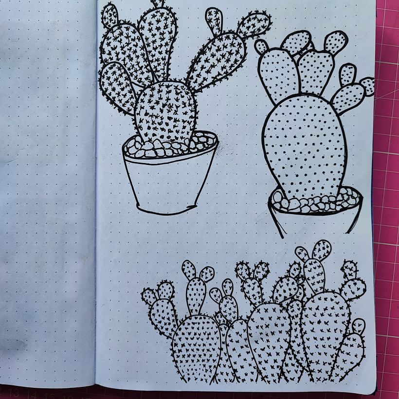 Mi proyecto del curso: Sketchbook botánico: una aproximación meditativa 2
