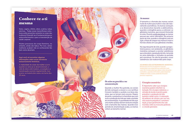 Livro Mulheres - Ilustración tradicional